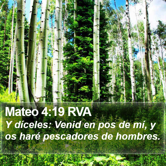 Mateo 4:19 RVA Bible Study