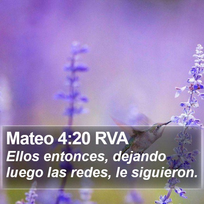 Mateo 4:20 RVA Bible Study