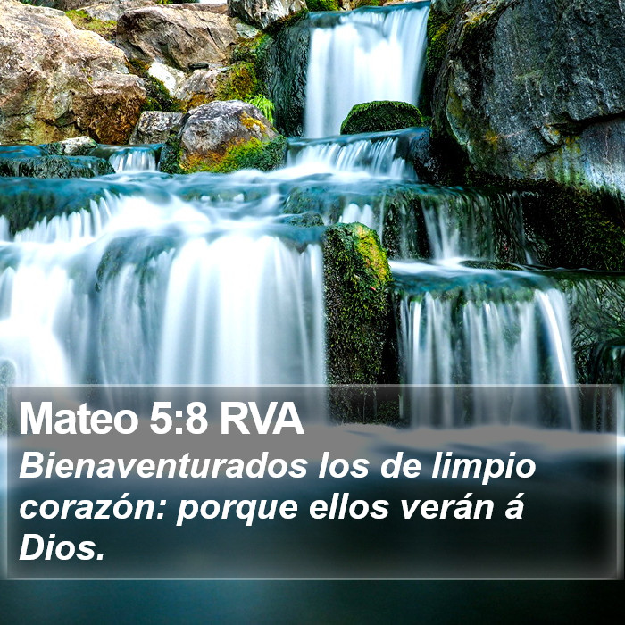 Mateo 5:8 RVA Bible Study