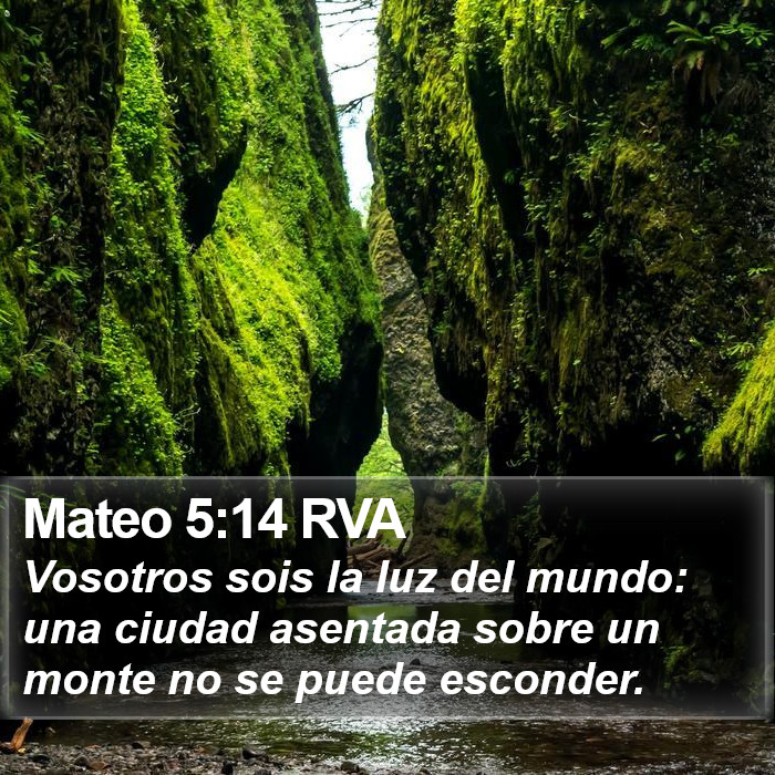 Mateo 5:14 RVA Bible Study