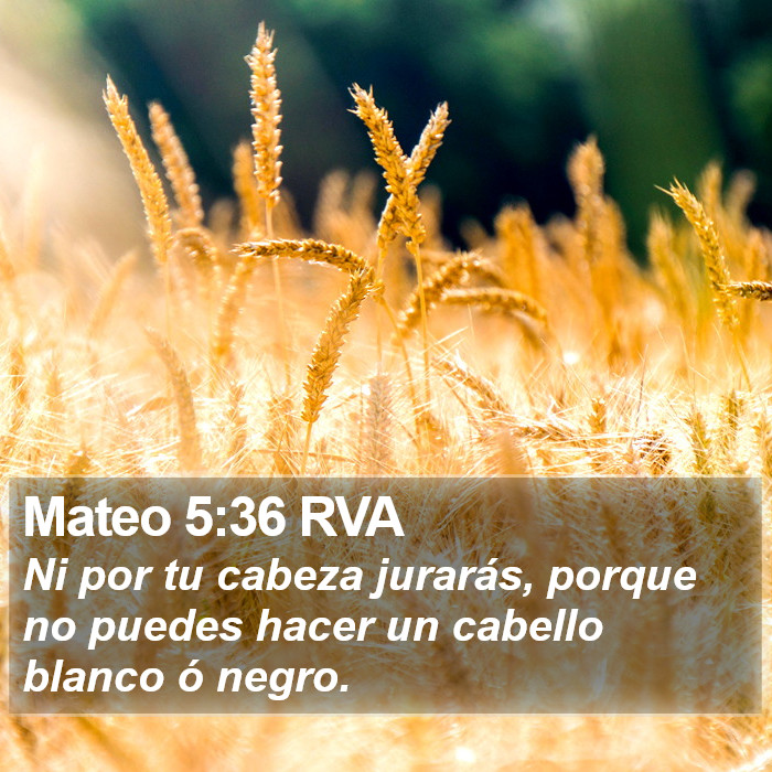 Mateo 5:36 RVA Bible Study