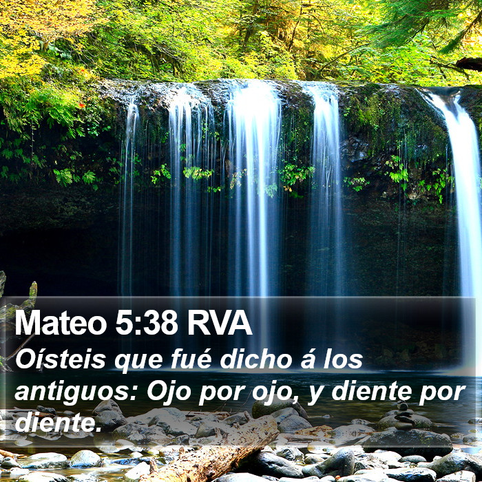 Mateo 5:38 RVA Bible Study