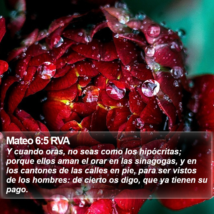 Mateo 6:5 RVA Bible Study