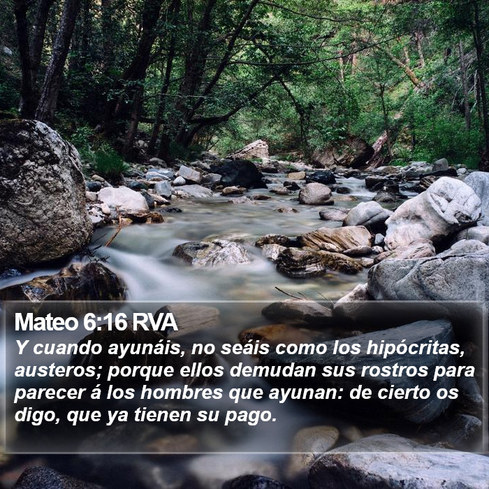 Mateo 6:16 RVA Bible Study