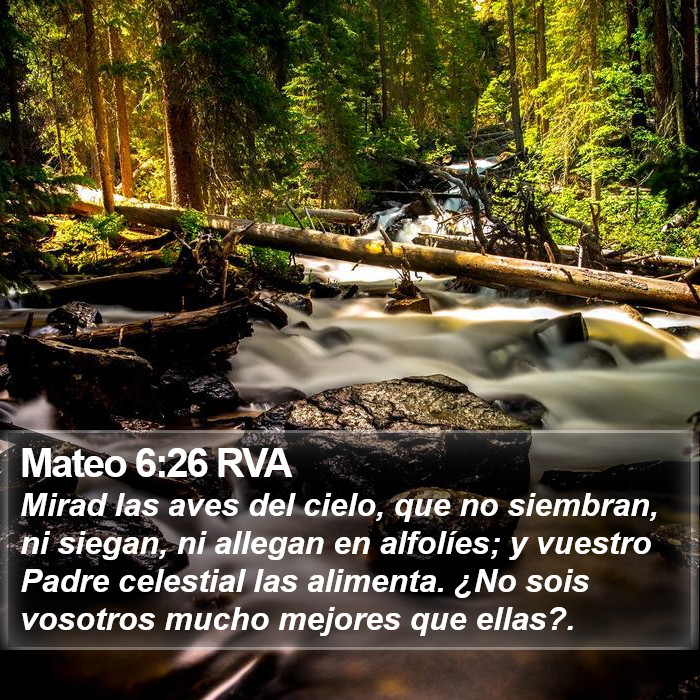 Mateo 6:26 RVA Bible Study