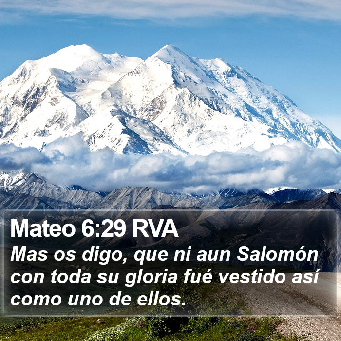 Mateo 6:29 RVA Bible Study