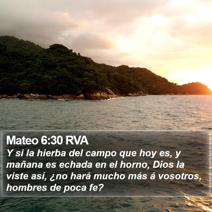 Mateo 6:30 RVA Bible Study