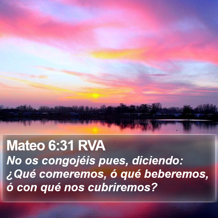 Mateo 6:31 RVA Bible Study