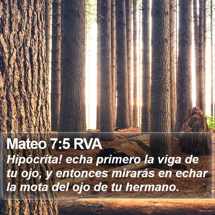 Mateo 7:5 RVA Bible Study
