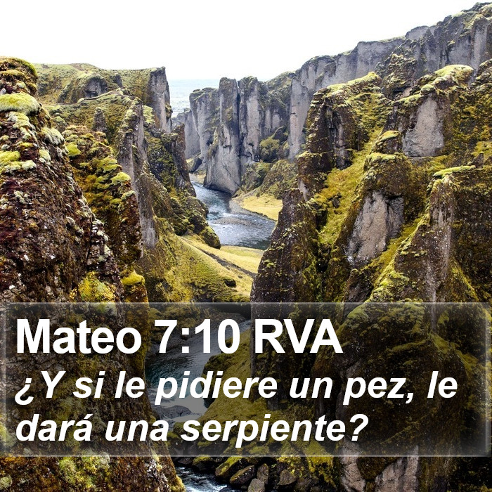 Mateo 7:10 RVA Bible Study
