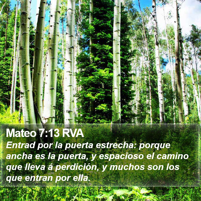 Mateo 7:13 RVA Bible Study