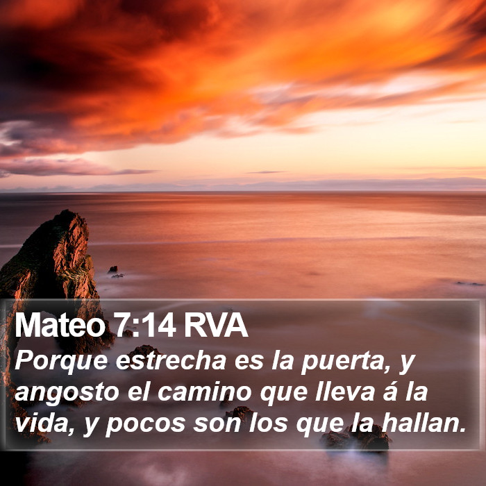 Mateo 7:14 RVA Bible Study