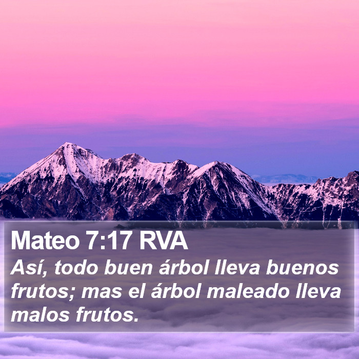 Mateo 7:17 RVA Bible Study
