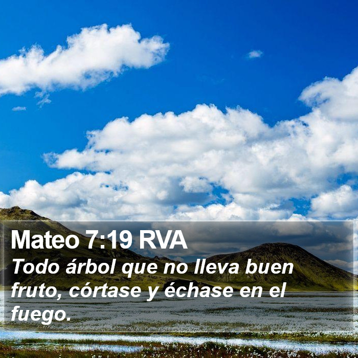 Mateo 7:19 RVA Bible Study