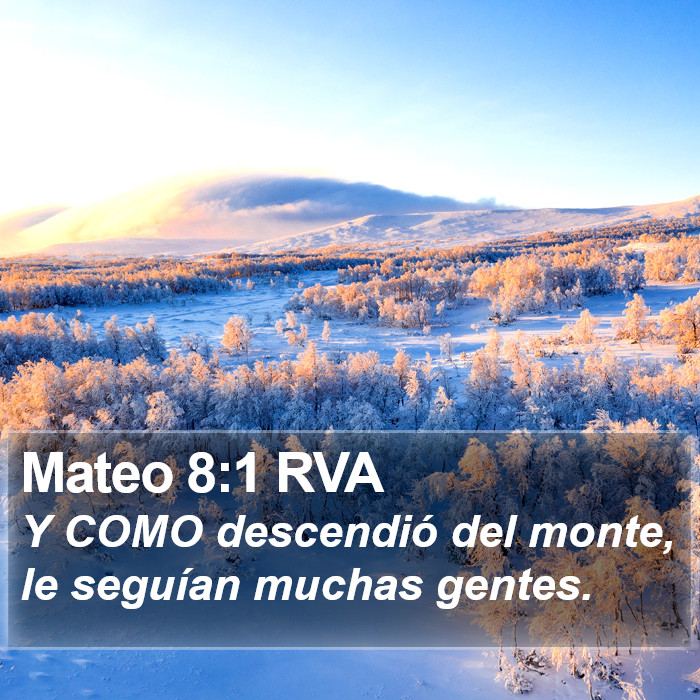 Mateo 8:1 RVA Bible Study