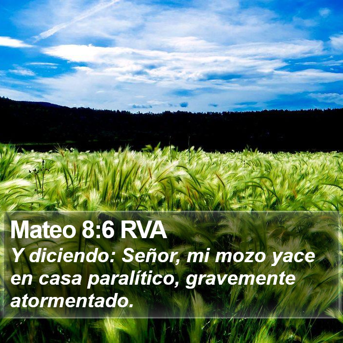 Mateo 8:6 RVA Bible Study