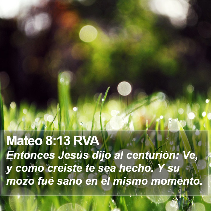 Mateo 8:13 RVA Bible Study