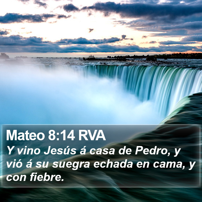 Mateo 8:14 RVA Bible Study