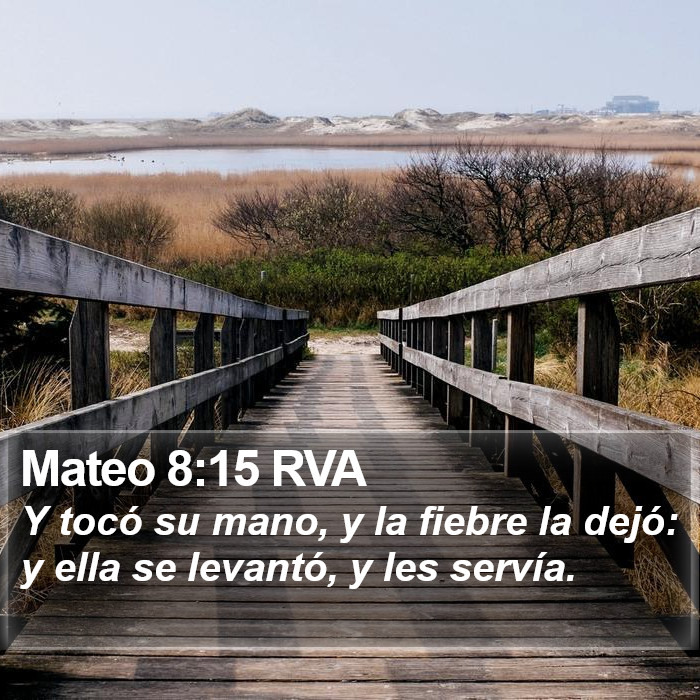 Mateo 8:15 RVA Bible Study