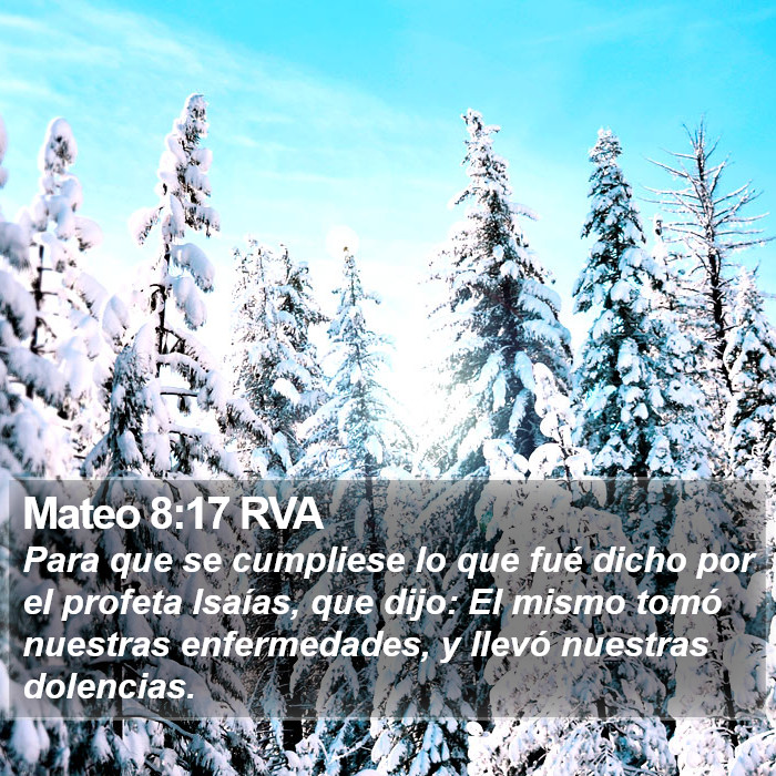 Mateo 8:17 RVA Bible Study