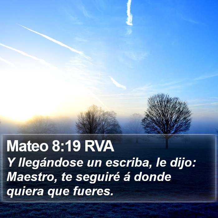 Mateo 8:19 RVA Bible Study