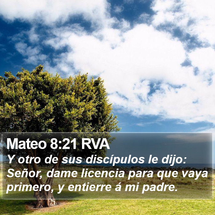 Mateo 8:21 RVA Bible Study