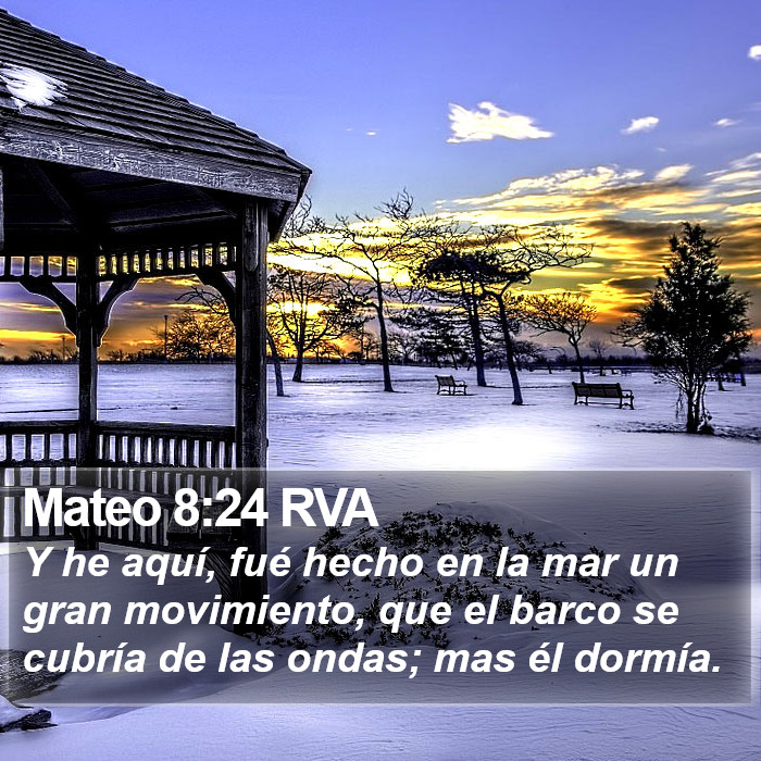 Mateo 8:24 RVA Bible Study