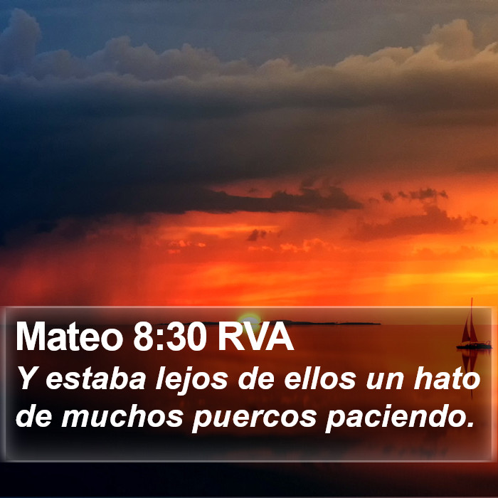 Mateo 8:30 RVA Bible Study