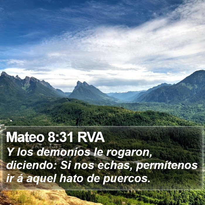 Mateo 8:31 RVA Bible Study