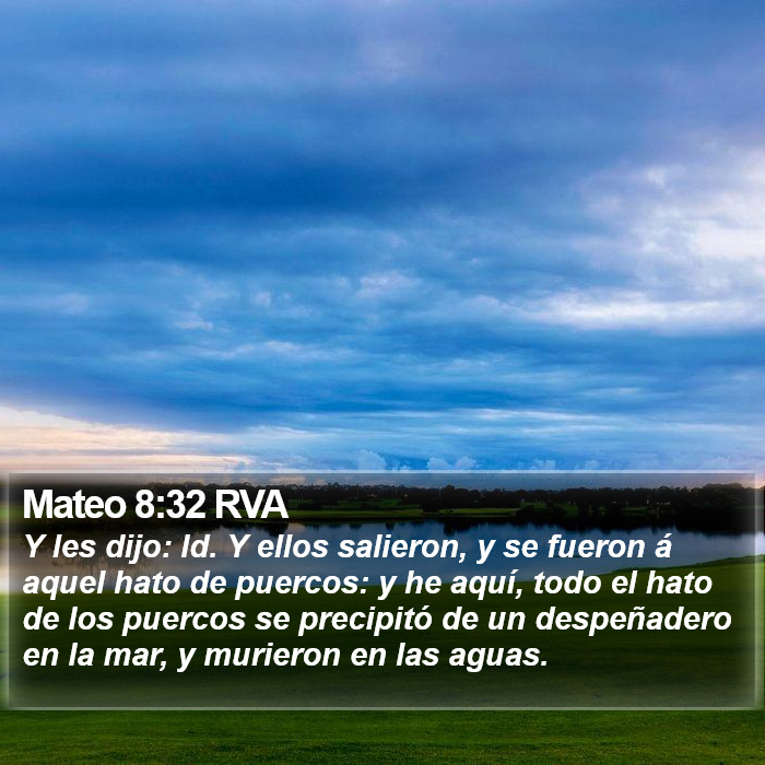 Mateo 8:32 RVA Bible Study