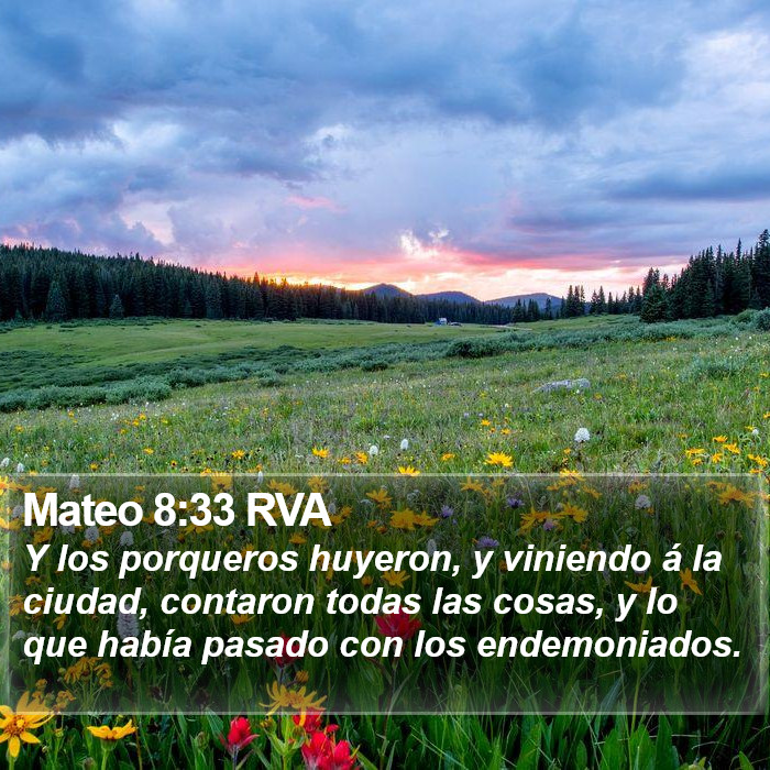 Mateo 8:33 RVA Bible Study