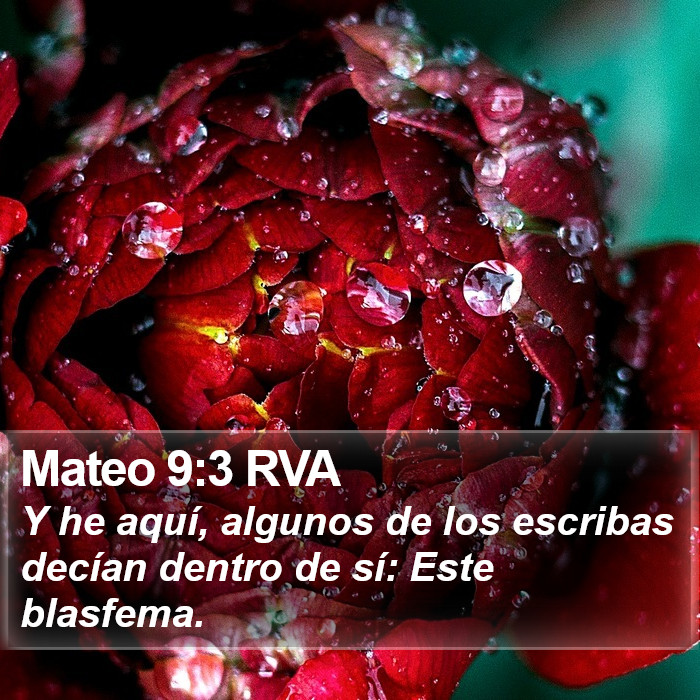 Mateo 9:3 RVA Bible Study