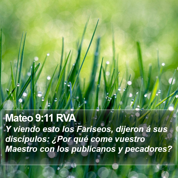 Mateo 9:11 RVA Bible Study