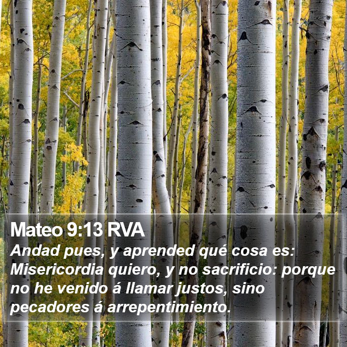 Mateo 9:13 RVA Bible Study