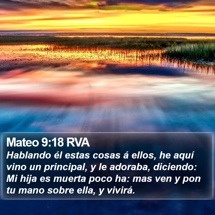 Mateo 9:18 RVA Bible Study