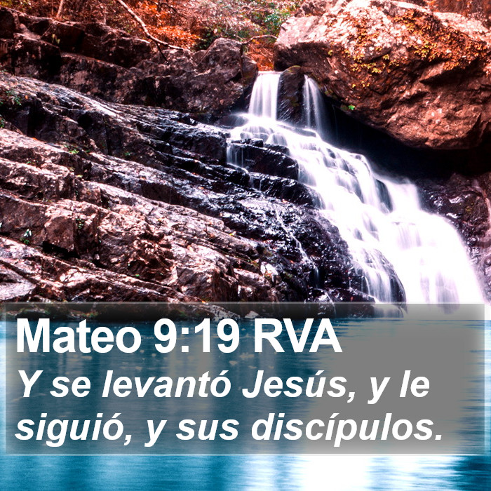 Mateo 9:19 RVA Bible Study