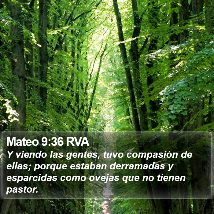 Mateo 9:36 RVA Bible Study