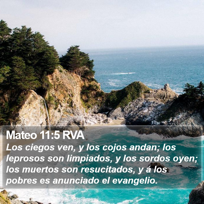 Mateo 11:5 RVA Bible Study