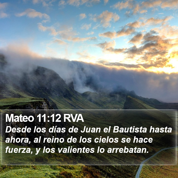 Mateo 11:12 RVA Bible Study