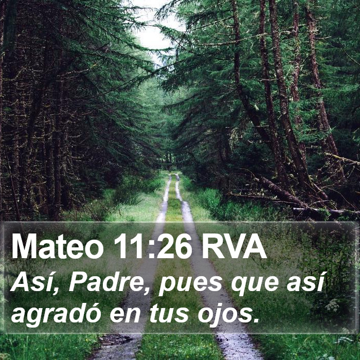 Mateo 11:26 RVA Bible Study