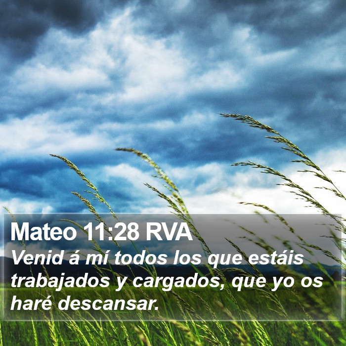 Mateo 11:28 RVA Bible Study