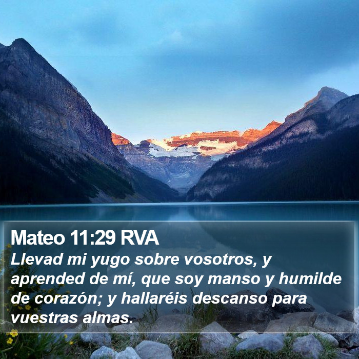 Mateo 11:29 RVA Bible Study