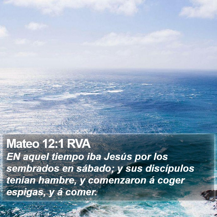 Mateo 12:1 RVA Bible Study