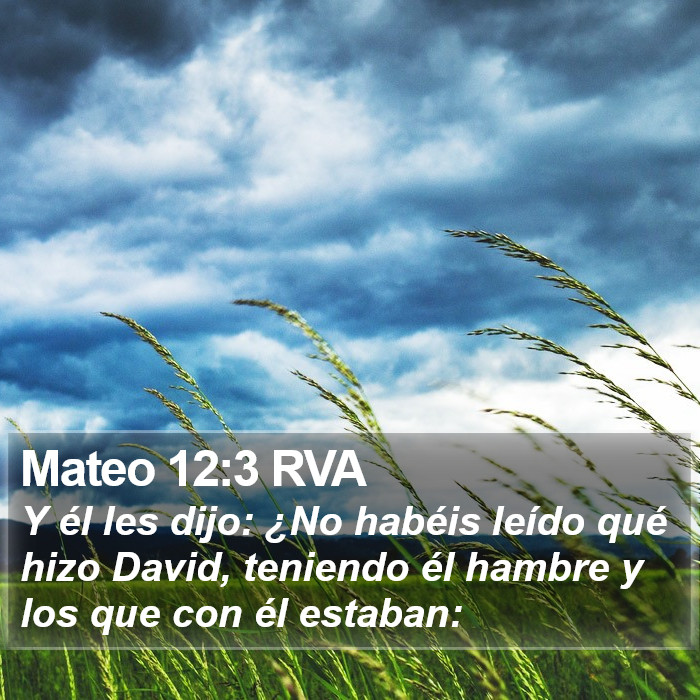 Mateo 12:3 RVA Bible Study