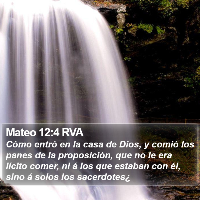 Mateo 12:4 RVA Bible Study