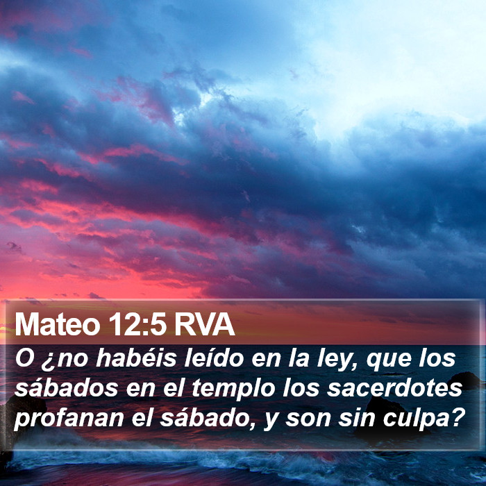 Mateo 12:5 RVA Bible Study