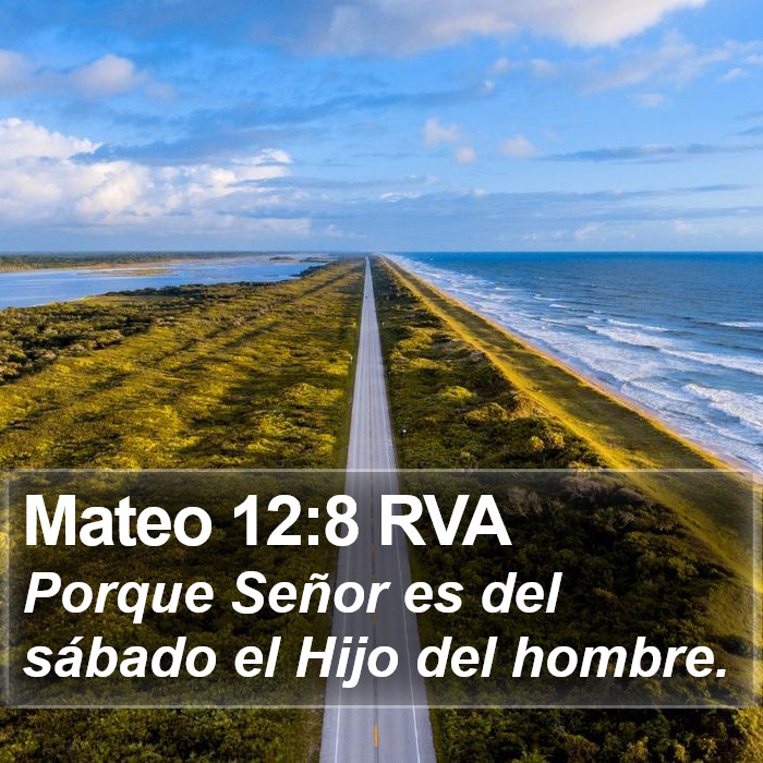 Mateo 12:8 RVA Bible Study