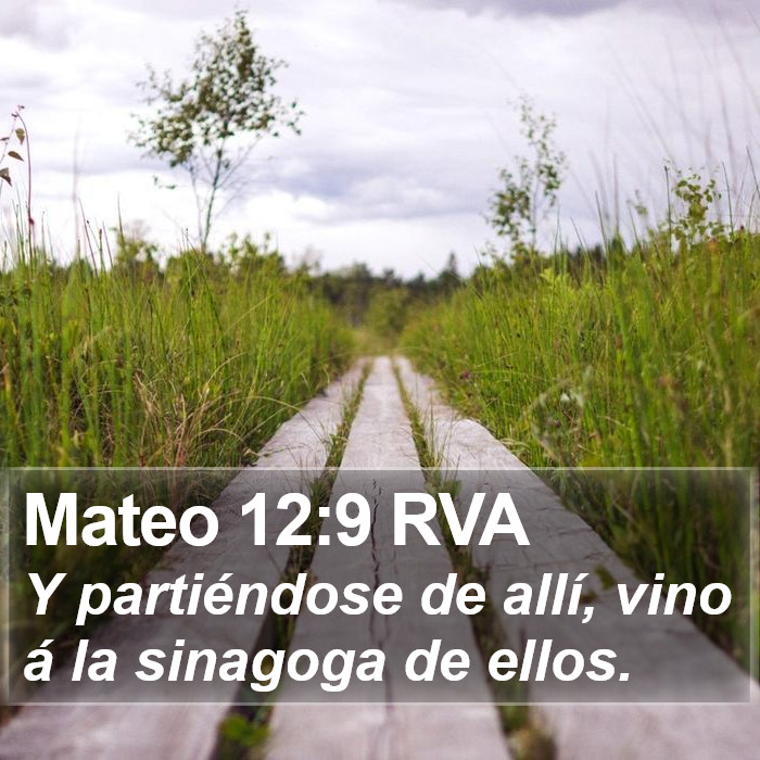 Mateo 12:9 RVA Bible Study