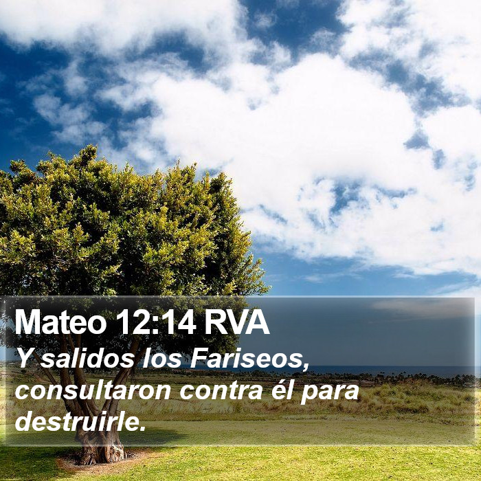 Mateo 12:14 RVA Bible Study