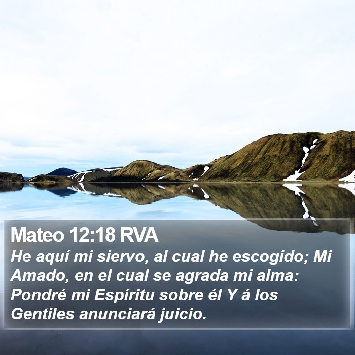 Mateo 12:18 RVA Bible Study